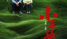 青青小草国产在线播放,国产在线播放的清新之作