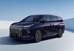 精品区国产,精品区国产生态圈概览