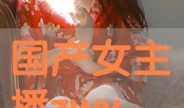 国产主播VIP,揭秘网红经济新趋势