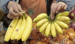 国产对白大香蕉,揭秘国产影视作品的魅力与影响力