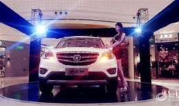 国产自在,探寻中国本土文化的独特魅力