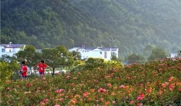 国产福利三区,探索中国影视产业的繁荣与魅力