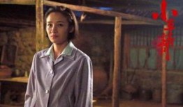 青青小草国产在线播放,国产在线播放的清新之作