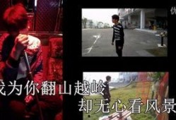 国产一级a爱视频,揭秘国产影视产业的独特魅力