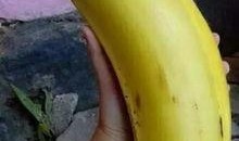 国产对白大香蕉,揭秘国产影视作品的魅力与影响力