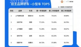 国产页5,探索中国网页设计的创新与魅力