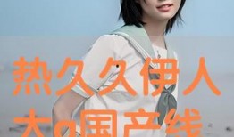 国产伊人视频,揭秘国产影视作品的魅力与风采