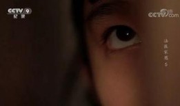 国产重口味视频,揭秘刺激感官的视觉盛宴