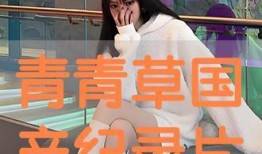 青青草国产在线播放,探寻国产影视的青春魅力