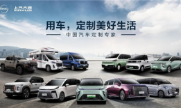 国产自在,探寻中国本土文化的独特魅力