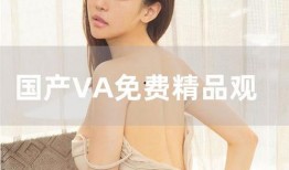 国产va在线视频,畅享视听盛宴，解锁精彩瞬间