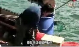 国产伊甸园,探寻东方梦幻乐园的奇幻之旅